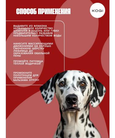 KOGI Clorhexidine dogs with perfumed dogs - Buy Online on GoSupps.com