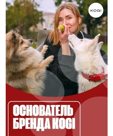 KOGI Clorhexidine dogs with perfumed dogs - Buy Online on GoSupps.com