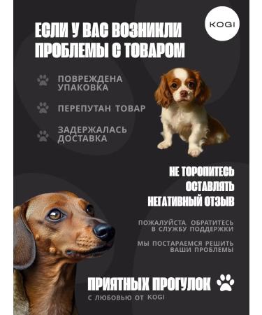 KOGI Clorhexidine dogs with perfumed dogs - Buy Online on GoSupps.com