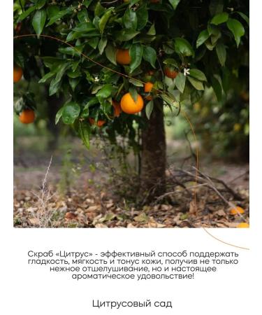 KRASNOPOLYANSKAYA COSMETICS Body scrub citrus garden - Buy Online on GoSupps.com