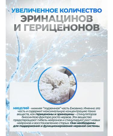 Griboedov Ezhovik crested mycelium (Lions mane) powder 200g - Buy Online on GoSupps.com