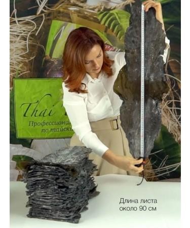 Thai Traditions Algae for wrap from cellulite of the body of lamarias 3 kg - Buy Online on GoSupps.com