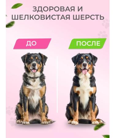 Bobik and Murka Vitamins for dogs of the health of the skin and wool turkey 100 pcs - Buy Online on GoSupps.com