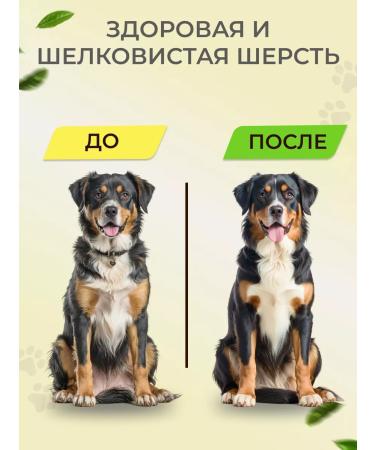 Bobik and Murka Vitamins for dogs skin health and wool chicken 100 pcs - Buy Online on GoSupps.com