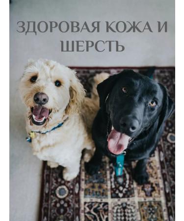 Bobik and Murka Vitamins for dogs and puppies - Buy Online on GoSupps.com