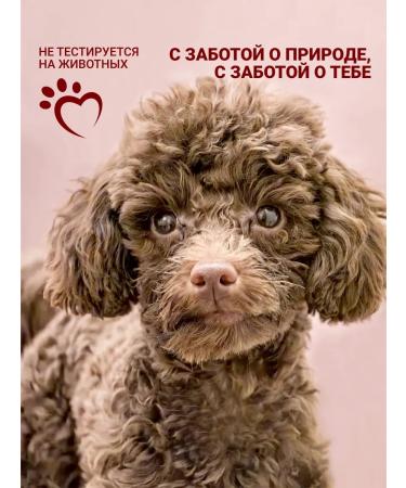 Repharm Pepteens Elite Shampoo Tobacco Vetiver & Amber 250 ml - Buy Online on GoSupps.com