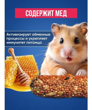 Elf Grain sticks for small rodents - Buy Online on GoSupps.com