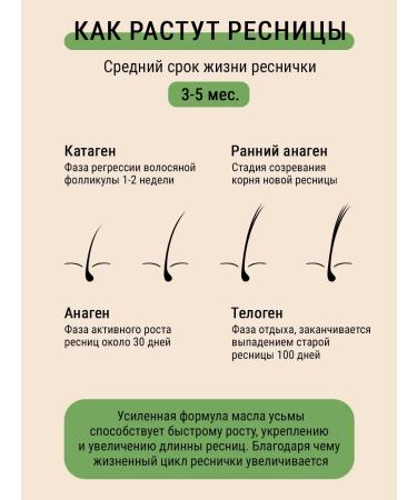 Askham Cosmetics Eying oil for eyelashes and eyebrows - Buy Online on GoSupps.com