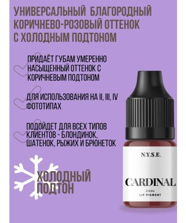 AP GROUP Starting set for PM WelCOME SET Alena Pestova - Buy Online on GoSupps.com