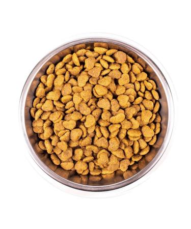 MONGE Dry food for breeding wool in cats with chicken 10 kg - Buy Online on GoSupps.com
