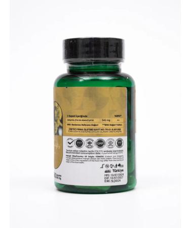 SALUS Ferula extract. 540 mg 60 capsules. T rkiye - Buy Online on GoSupps.com