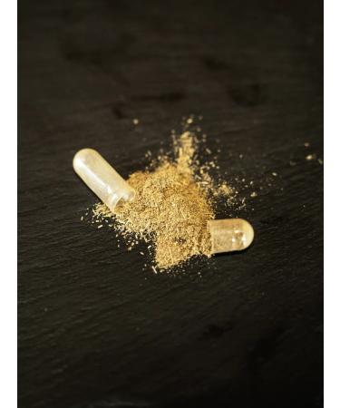 SALUS Ferula extract. 540 mg 60 capsules. T rkiye - Buy Online on GoSupps.com