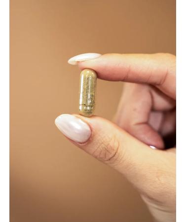 SALUS Propolis. 540 mg. 60 capsules. T rkiye - Buy Online on GoSupps.com