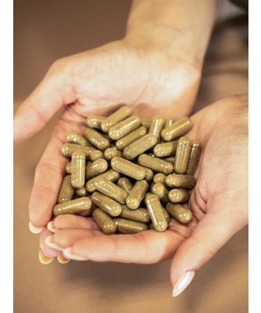 SALUS Propolis. 540 mg. 60 capsules. T rkiye - Buy Online on GoSupps.com