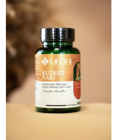 SALUS Momordica Charanation + a mixture of herbs 540 mg. T rkiye - Buy Online on GoSupps.com