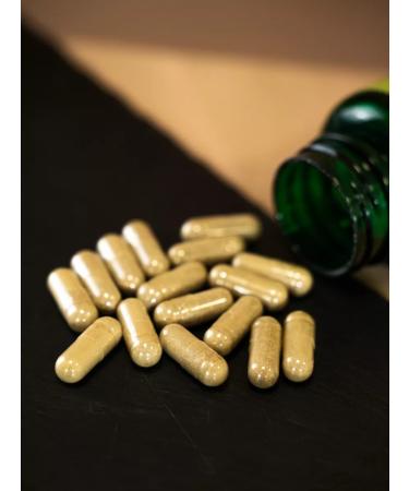 SALUS Alpine cuff. 540 mg 60 capsules. Turkey6 - Buy Online on GoSupps.com