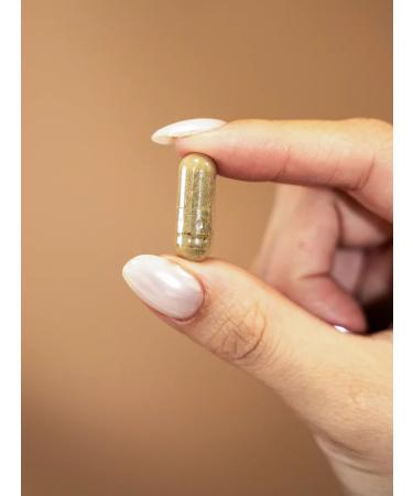 SALUS Valerian extract + a mixture of herbs. 540 mg. 60 capsules. T rkiye - Buy Online on GoSupps.com