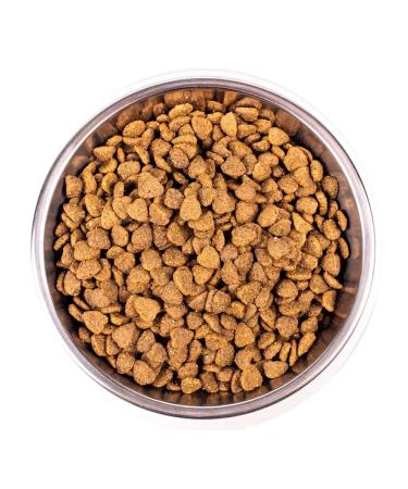 MONGE Dry food for homemade cats with chicken 10 kg - Buy Online on GoSupps.com