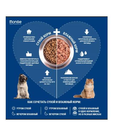 MONGE Dry food for homemade cats with chicken 10 kg - Buy Online on GoSupps.com