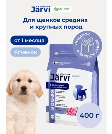 Jarvi elaman Dry food for puppies of medium and large breeds lambs 400g