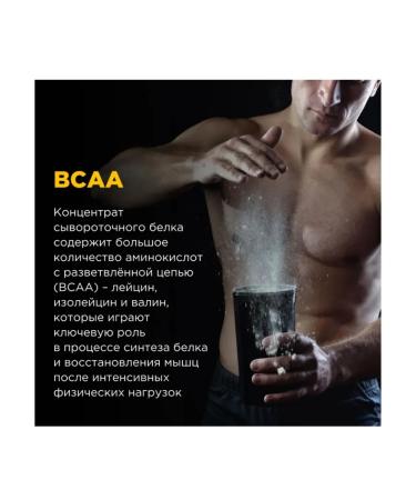 BombBar Whey Protein Pro Protein 900 g raspberry cookies - Buy Online on GoSupps.com