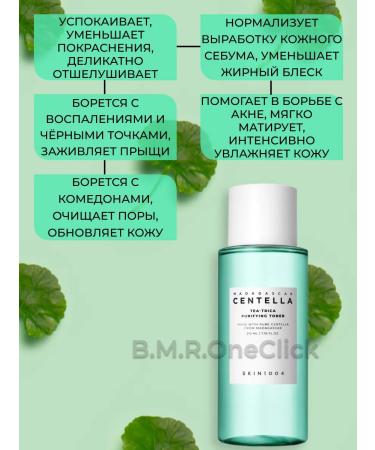 SKIN1004 Setter Single Toner+Foam 210ml+125 ml - Buy Online on GoSupps.com