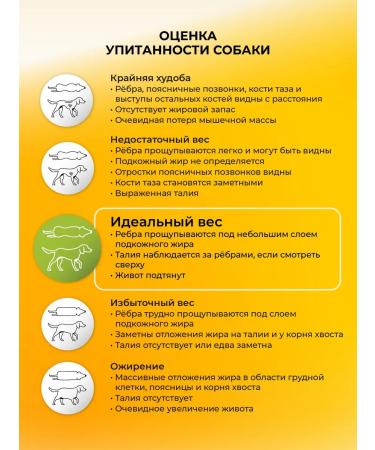 Hucorm Dry feed for small-medium-sized dogs 3 kg - Buy Online on GoSupps.com