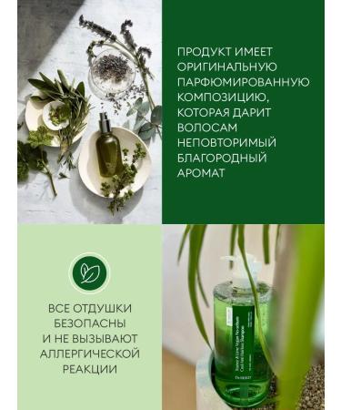 DrSeed Hair shampoo against dandruff Teatree & Lime - Buy Online on GoSupps.com