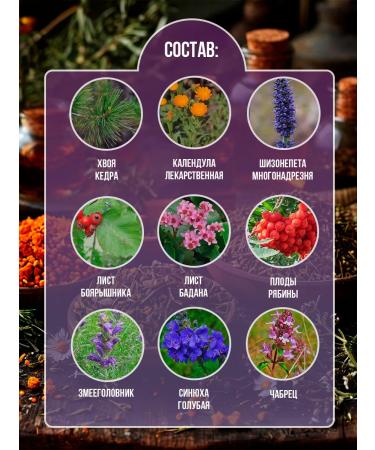 Secrets of the Herbalist Herbal tea "Healthy sleep" - Buy Online on GoSupps.com