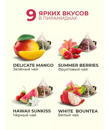 CURTIS Music Tea Set 36 pyramids Assorted 9 tastes - Buy Online on GoSupps.com