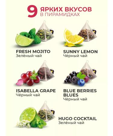 CURTIS Music Tea Set 36 pyramids Assorted 9 tastes - Buy Online on GoSupps.com