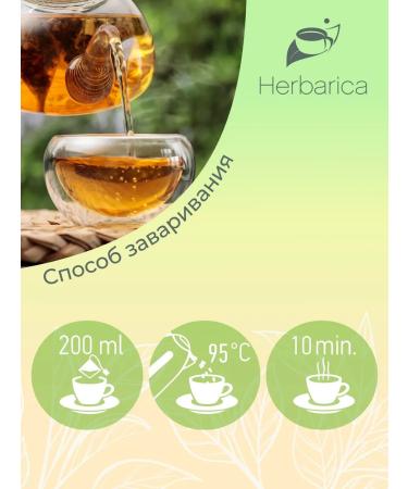 Herbarica Herbal tea in North Health bags 20 pieces - Buy Online on GoSupps.com