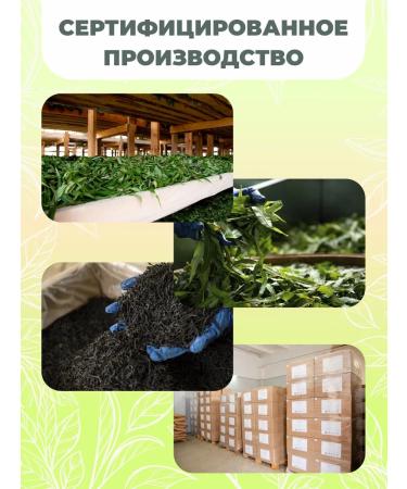 Herbarica Herbal tea in North Health bags 20 pieces - Buy Online on GoSupps.com