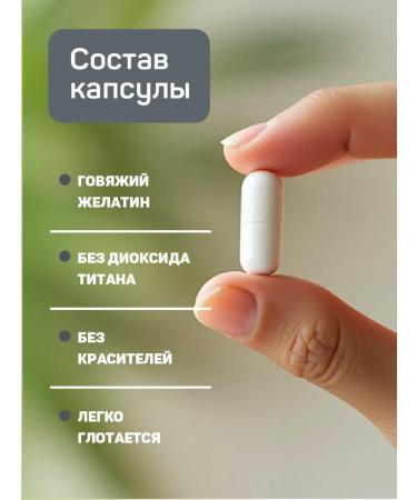 Strength & Wellness GABA BAD GABAK GAMMA-aminomatic acid 500 mg 90 capsules - Buy Online on GoSupps.com