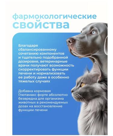 Candioli Glutamax Forte Fod additive for gastrointestinal tract cats and dogs - Buy Online on GoSupps.com