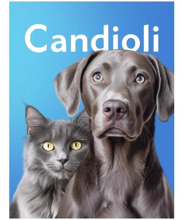 Candioli Glutamax Forte Fod additive for gastrointestinal tract cats and dogs - Buy Online on GoSupps.com