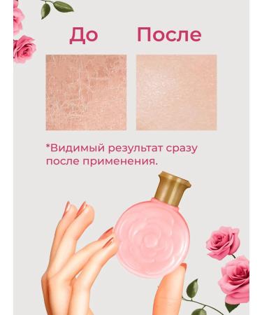 LU MINATE Hand cream set 12 pcs - Buy Online on GoSupps.com