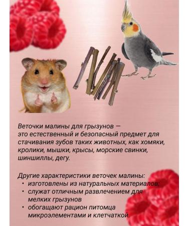 A treat for rodents and birds of raspberry sticks - Buy Online on GoSupps.com