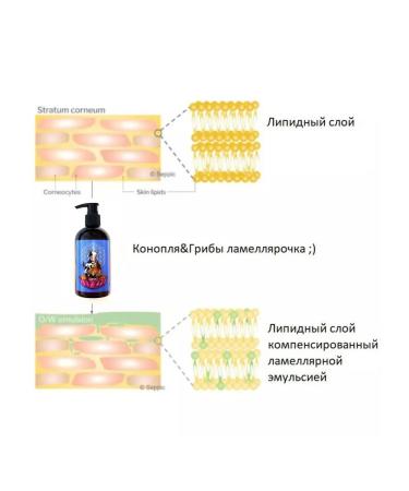 BooBooBama Hemp & Mushrooms - Badyan - Buy Online on GoSupps.com