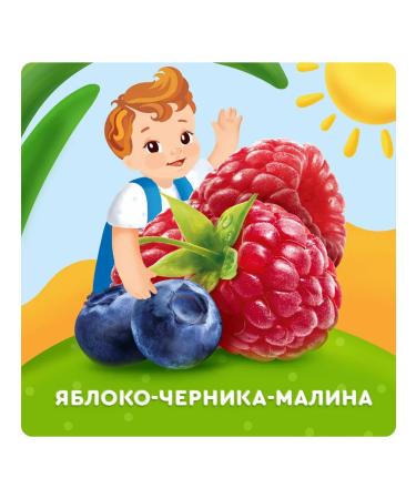 AGUSHA Fruit pieces of apple blueberries and raspberries 12gh10pcs - Buy Online on GoSupps.com