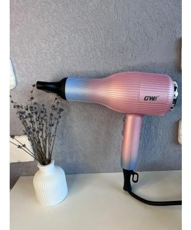 Hair hair dryer GWX12