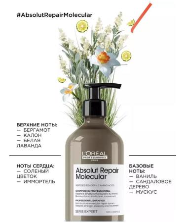 L'OREAL Molecular hair shampoo - Buy Online on GoSupps.com