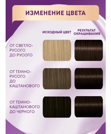 Palette Persistent cream-paint 3-0 (n12) dark brown 110 mlx2 pcs - Buy Online on GoSupps.com