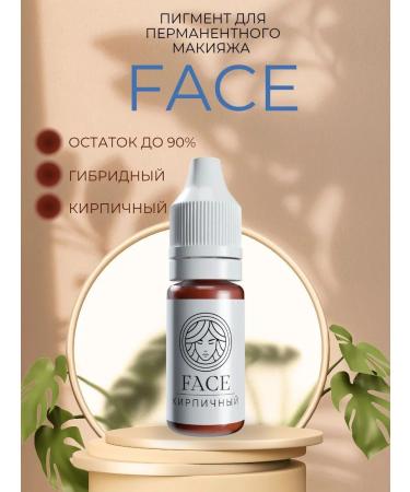 Face Company Face Pigments for Eyebrow Permanent Brick 6 ml