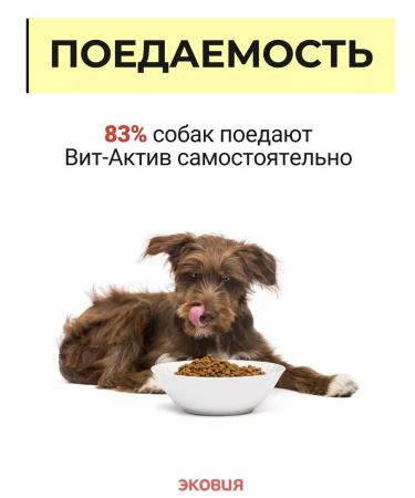Vit-Active Complex of vitamins for dogs Formula of Health 2 UD - Buy Online on GoSupps.com