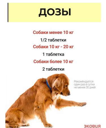 Vit-Active Complex of vitamins for dogs Formula of Health 3 U - Buy Online on GoSupps.com