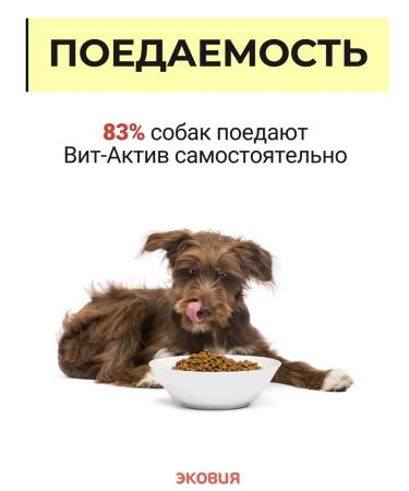 Vit-Active Complex of vitamins for dogs Formula of Health 3 U - Buy Online on GoSupps.com
