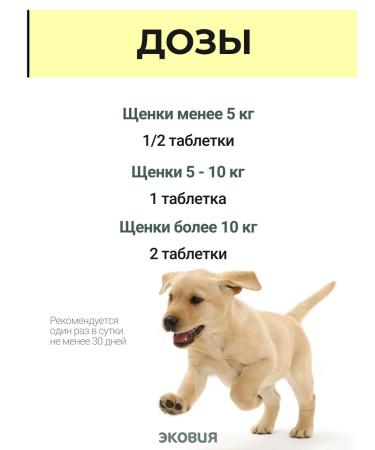 Vit-Active A complex of vitamins for puppies 2 - Buy Online on GoSupps.com