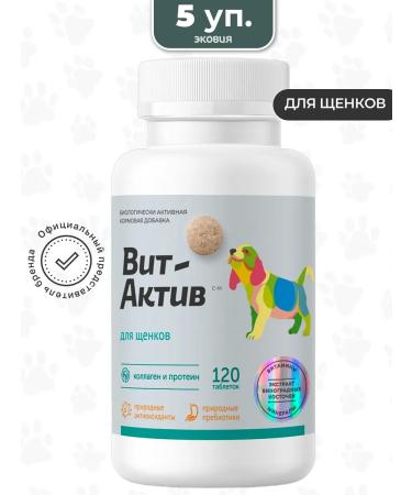 Vit-Active A complex of vitamins for puppies 5 l