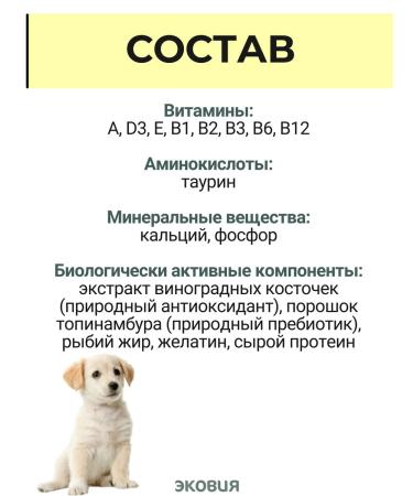 Vit-Active A complex of vitamins for puppies 5 l - Buy Online on GoSupps.com
